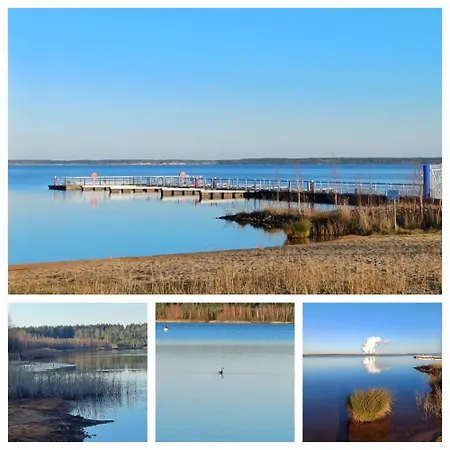 Lily, Baerwalder See, 