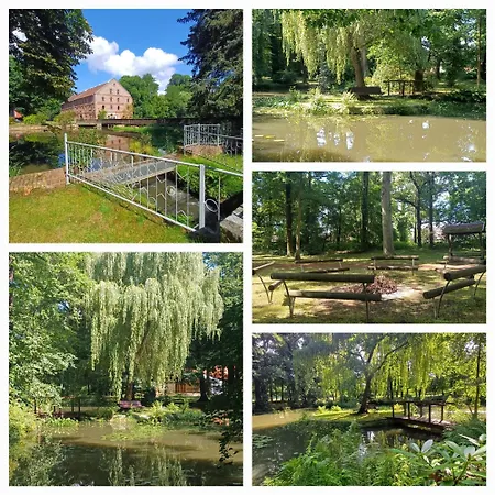 Lily, Baerwalder See, 