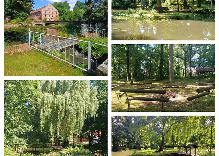 Lily, Baerwalder See, 